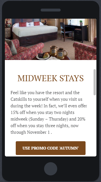 Mobile preview of email campaign