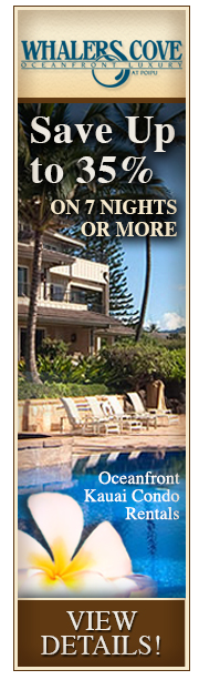 Remarketing ad sample 1