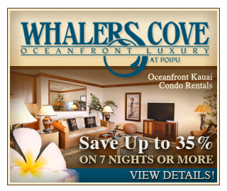 Remarketing ad example