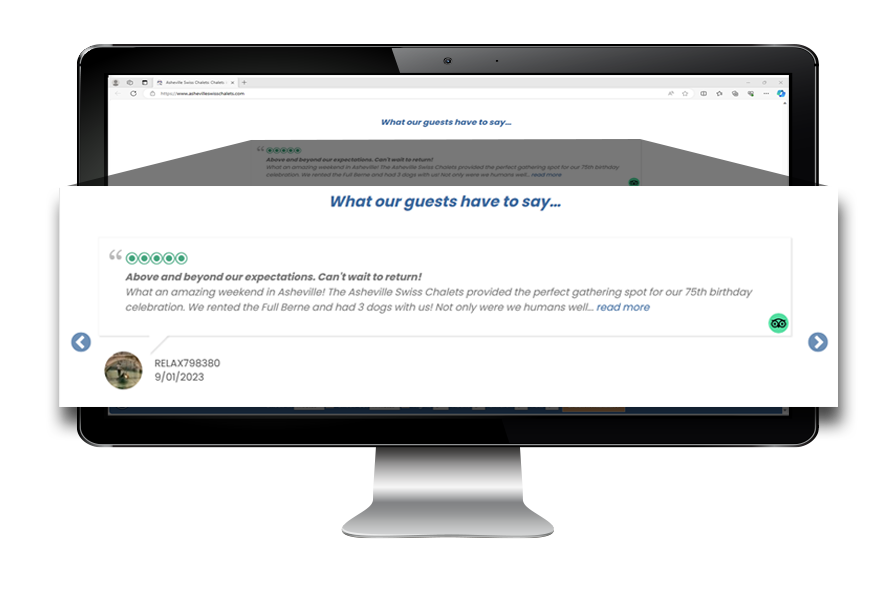 website-review-slider